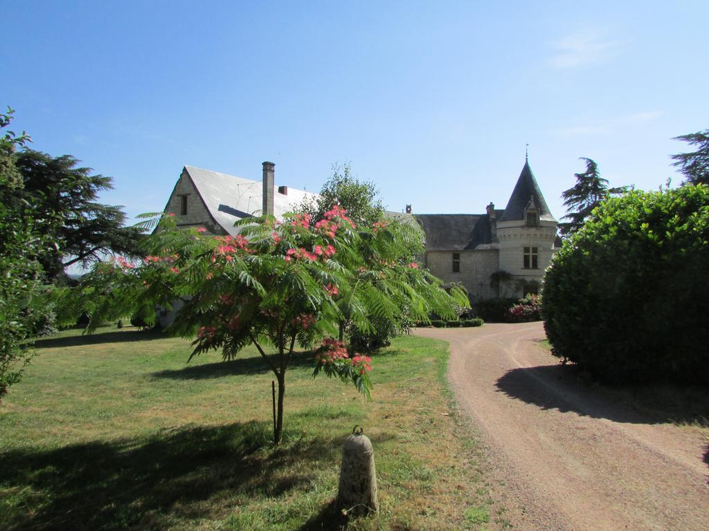 Chateau De La Roche Martel Bed & Breakfast Roiffe Exterior photo